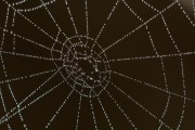Unity開發(fā)的概述，Unity，創(chuàng)建3D游戲和應(yīng)用程序的強(qiáng)大工具
