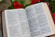 團(tuán)員證漏注冊(cè)怎么辦？全方位解答您的困惑，團(tuán)員證注冊(cè)遺漏解決方案全解析