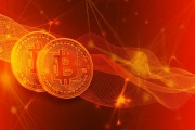 偉時(shí)電子（605218）被警示，股民索賠可期