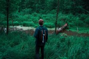 憤怒的小鳥2免費(fèi)游戲，開啟你的綠色飛行之旅