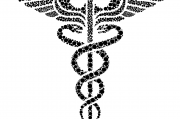 夢(mèng)中的蛇影，解析頻繁夢(mèng)見蛇的神秘現(xiàn)象，解析頻繁夢(mèng)見蛇的神秘現(xiàn)象，夢(mèng)中的蛇影之謎