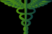 夢(mèng)中的神秘符號(hào)—龍頭蛇，夢(mèng)中的神秘符號(hào)，龍頭蛇