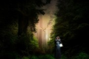 女人夢(mèng)到貓頭鷹，神秘寓意的探索
