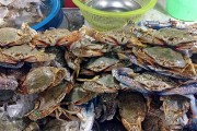 夢中奇遇，螃蟹與魚的共舞，夢中奇遇，螃蟹與魚的共舞