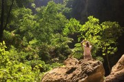 夢中尋房，探索未知與內(nèi)心深處的旅程，夢中尋房，探索未知與內(nèi)心深處的旅程