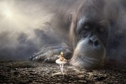 夢中的預(yù)言者——一次奇妙的算命夢，夢中的預(yù)言者，奇妙的算命夢之旅