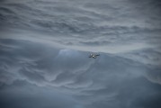 翱翔太空的戰(zhàn)爭(zhēng)游戲——星際爭(zhēng)霸，星際爭(zhēng)霸，浩瀚宇宙中的英勇對(duì)決