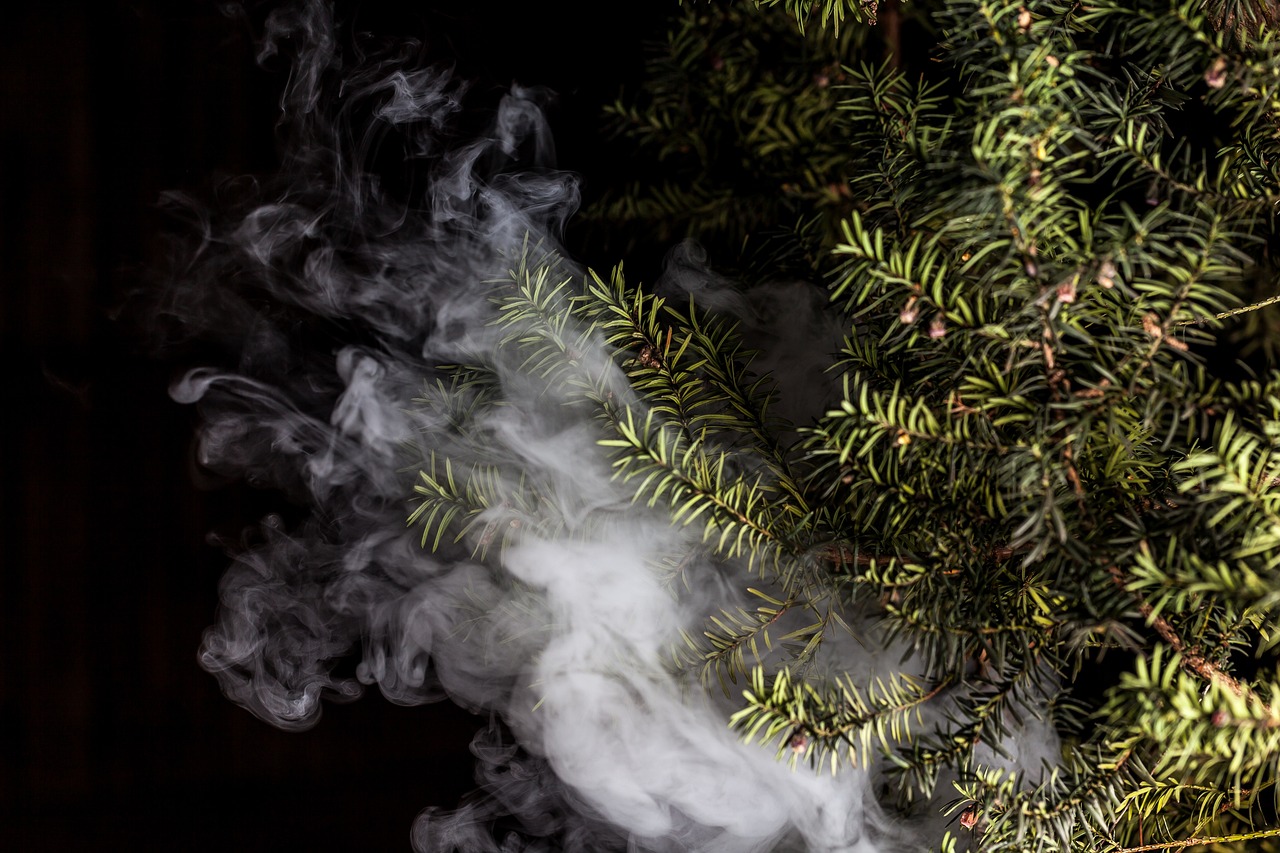 蒸汽朋克風(fēng)格的植物大戰(zhàn)僵尸,植物刺客,一款無需付費(fèi)的游戲 蒸汽朋克風(fēng)格的植物大戰(zhàn)僵尸,植物刺客,一款無需付費(fèi)的游戲